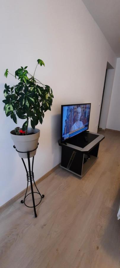 Appartement Farmec Studio à Cluj-Napoca Extérieur photo