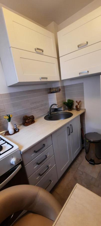 Appartement Farmec Studio à Cluj-Napoca Extérieur photo